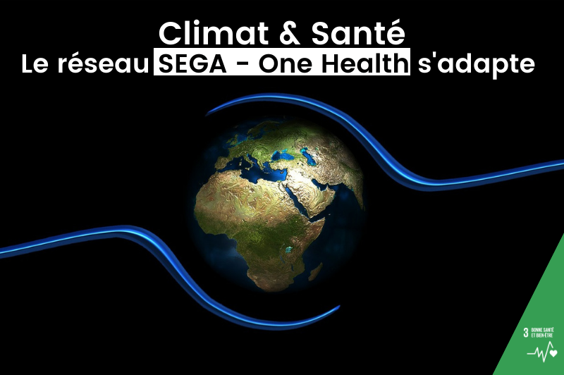 lien climat santé réseau sega one health coi