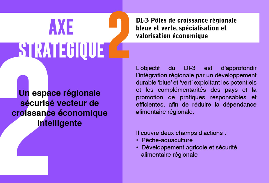 axe-strategiques 2b