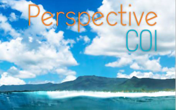 perspective-coi-img