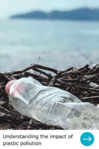 Understanding the impact of plastic pollution