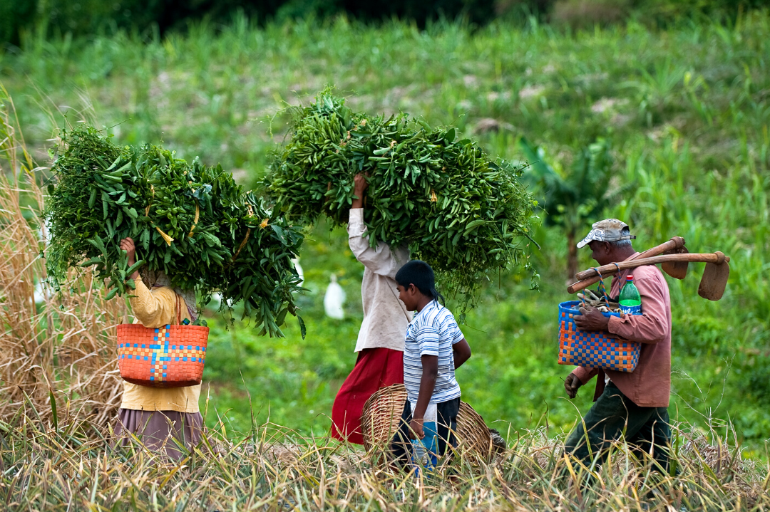 contenus-instagram-21