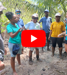 Design sans titre (7)