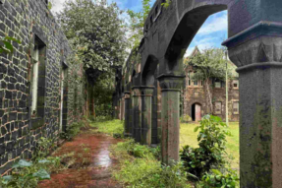 photos-site-internet-11