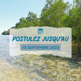 visuel-newsletter-coi