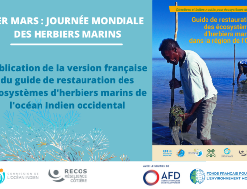 Publication de la version française du guide de restauration des écosystèmes d’herbiers marins de l’océan Indien occidental