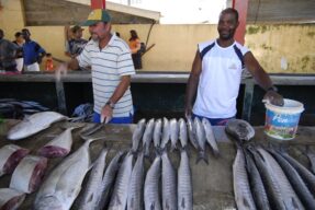 web_peche_seychelles-002