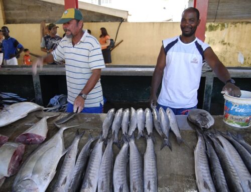 La COI invite les PME de la filière “produits de la mer” au plus grand salon agroalimentaire d’Afrique