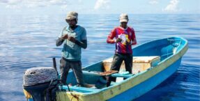 communique-de-presse_observatoire-cc