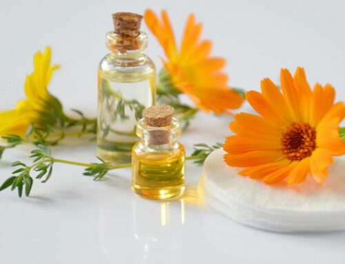 La COI invite les PME de la filière “plantes cosmétiques et médicinales” au salon mondial de l’innovation pour la filière parfumerie-cosmétique