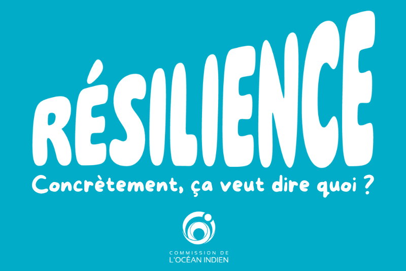 résilience commission de l'océan indien