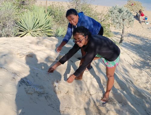 Pollution plastique dans l&rsquo;océan Indien : ça bouge chez les jeunes scientifiques à Madagascar !