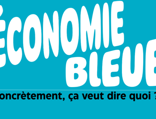 L’économie bleue dans l’océan Indien : de quoi s&rsquo;agit-il ?