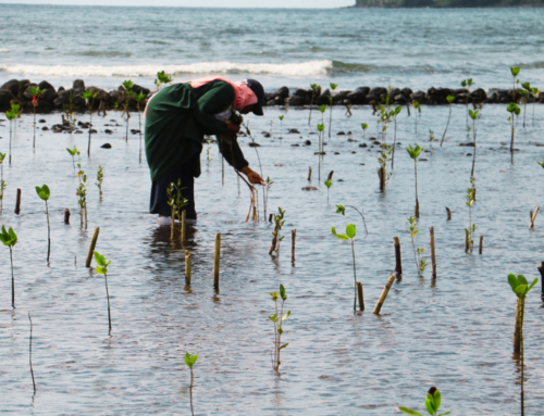 La COI renforce la protection du littoral à Anjouan
